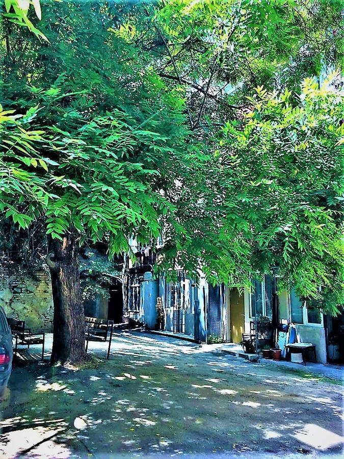 Very Center Of The Old City-Stylish Apartment تبليسي المظهر الخارجي الصورة